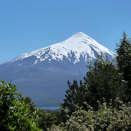 Quila Hostal La Ensenada Kültér fotó